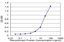 E - GAPDH Antibody (monoclonal) (M03) AT2152a